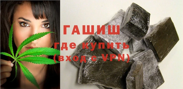 индика Гусь-Хрустальный