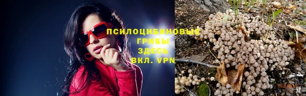 дмт Переславль-Залесский